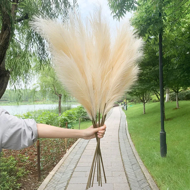 5 stk 100 cm Kunstig Pampas Græs Tørret Blomster Bouquet Bryllup Fest Dekoration Hjem Rum DIY Kunstige Planter Dekorationsmaterialer