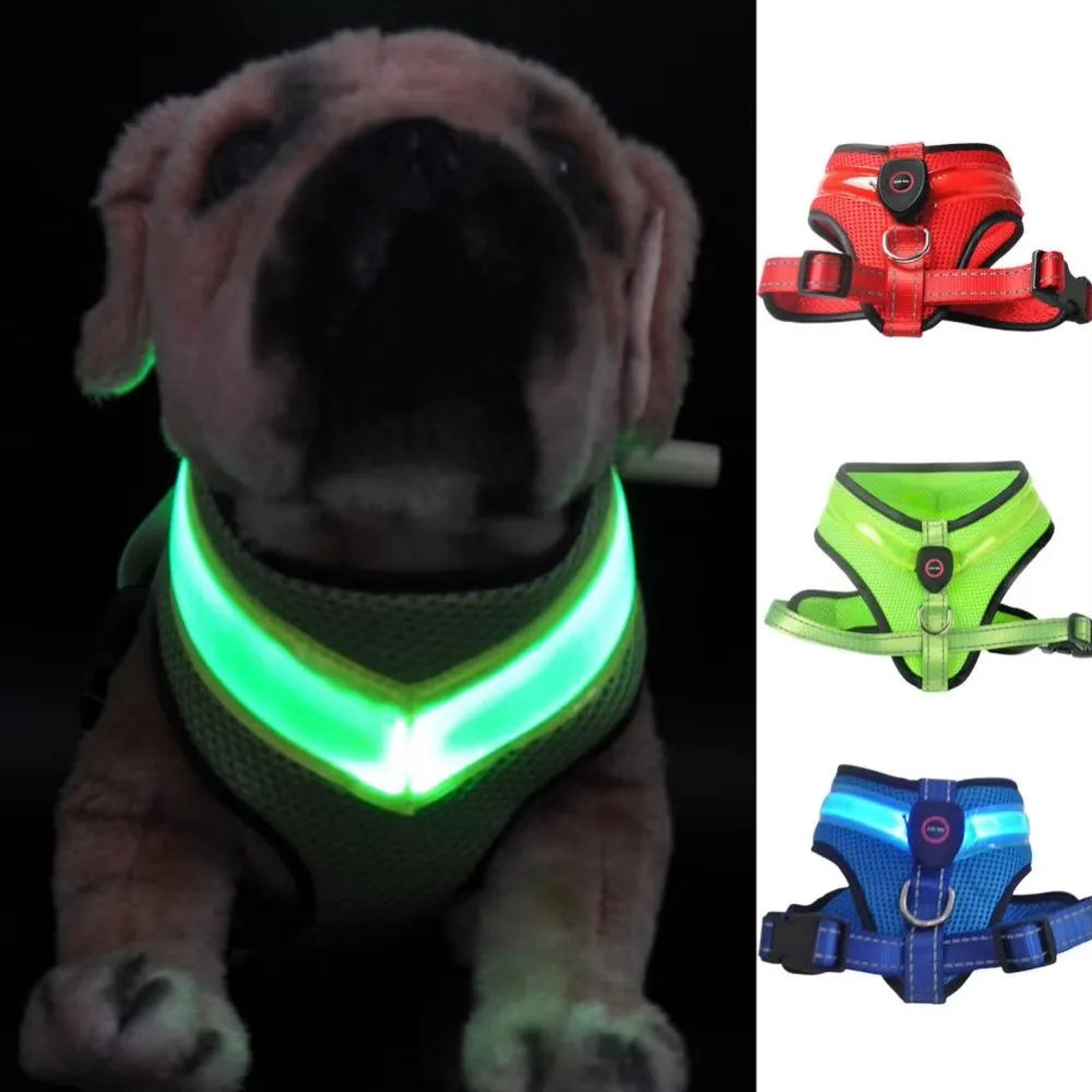 LED Hundesele USB genopladelig &amp; justerbar