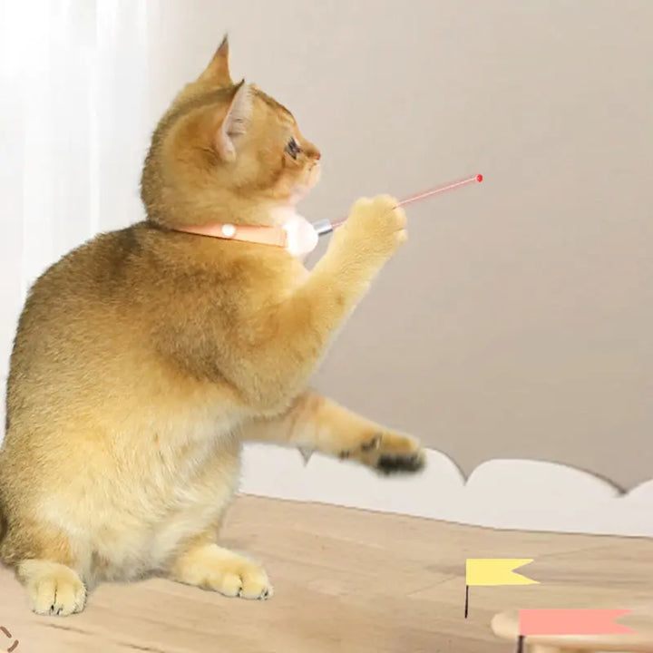 Freesthetic Laser Krave til Katte