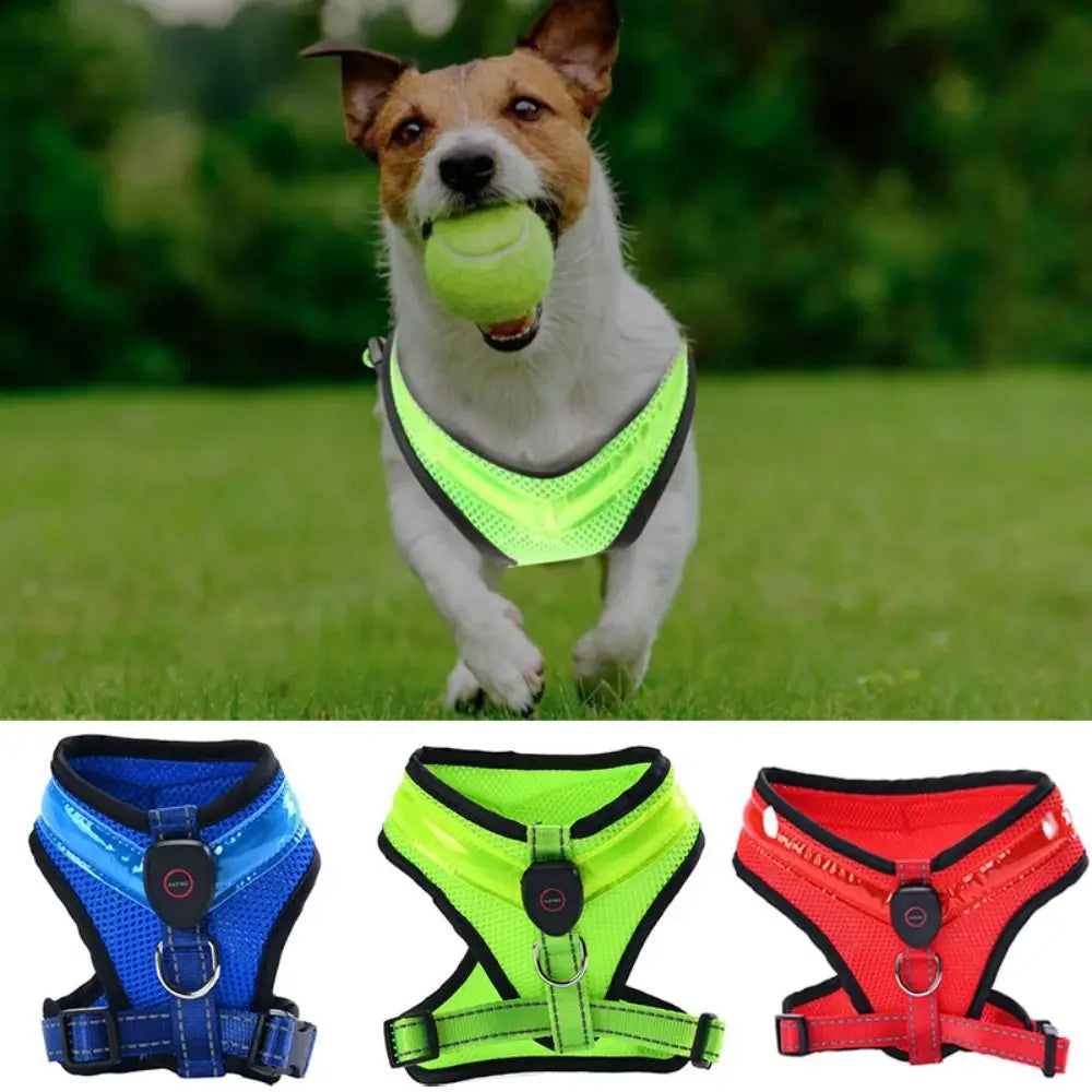 LED Hundesele USB genopladelig &amp; justerbar