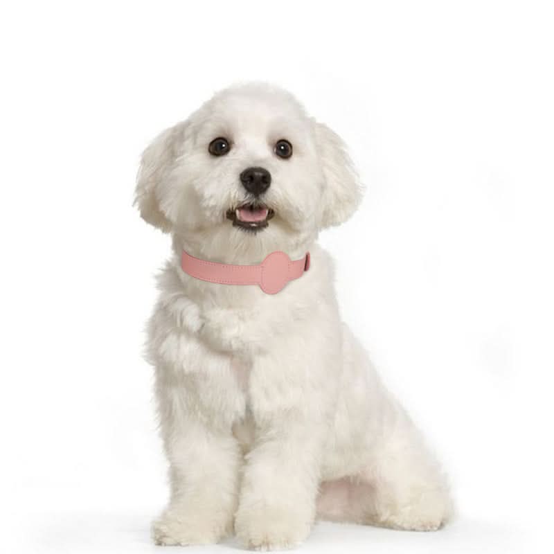 Hundehalsbånd med integreret AirTag-holder for sikkerhed og stil