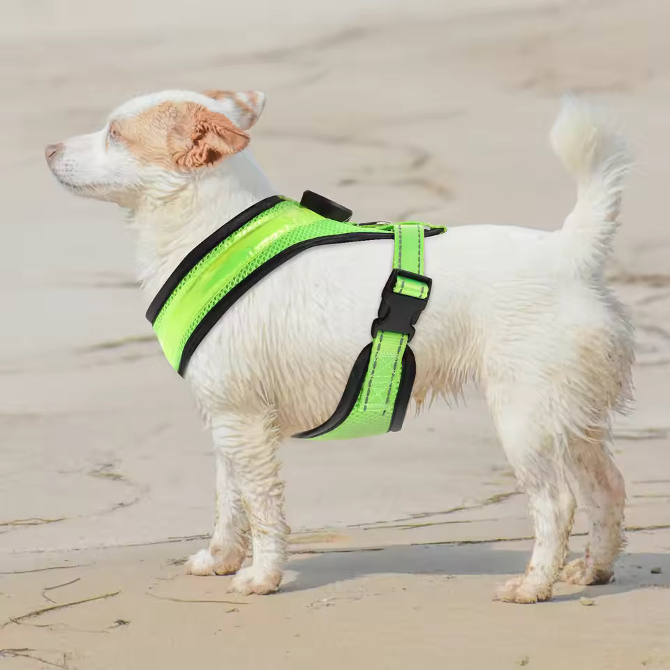 LED Hundesele USB genopladelig &amp; justerbar