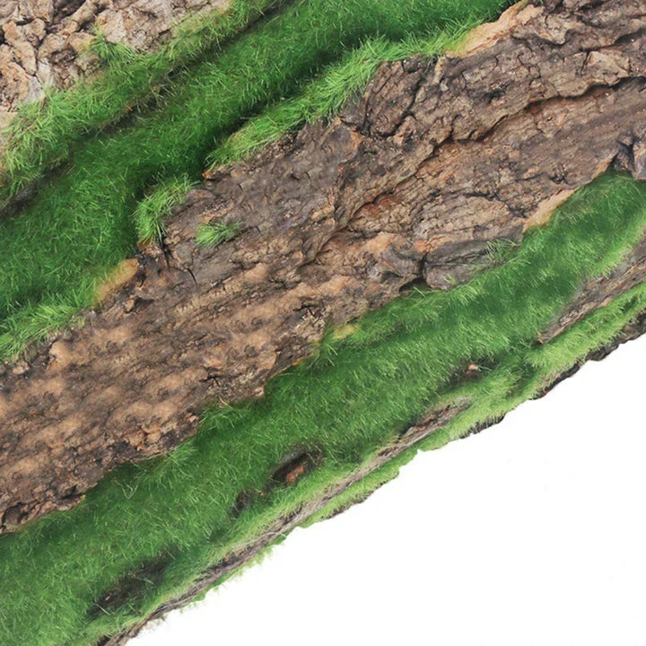 DIY Vægdekoration Grøn Plante Bark