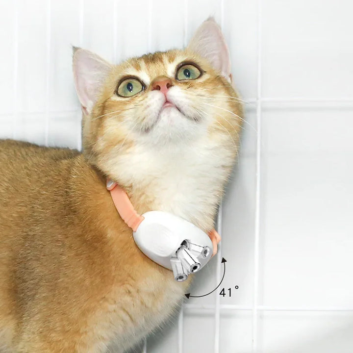Freesthetic Laser Krave til Katte