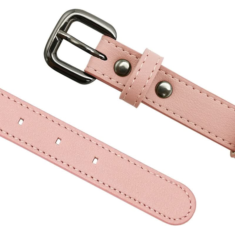 Hundehalsbånd med integreret AirTag-holder for sikkerhed og stil