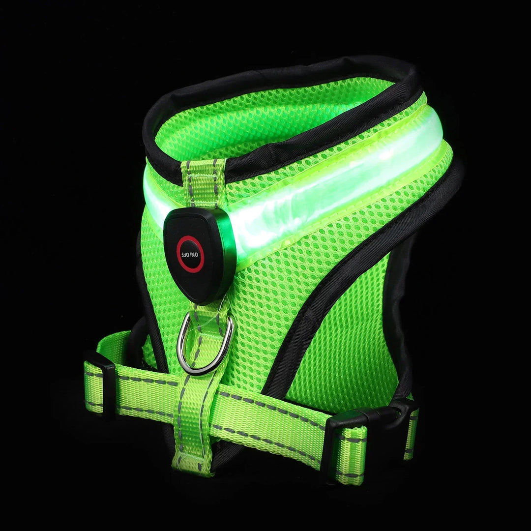 LED Hundesele USB genopladelig &amp; justerbar