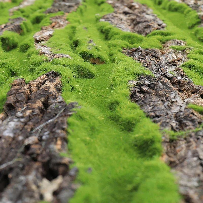 DIY Vægdekoration Grøn Plante Bark