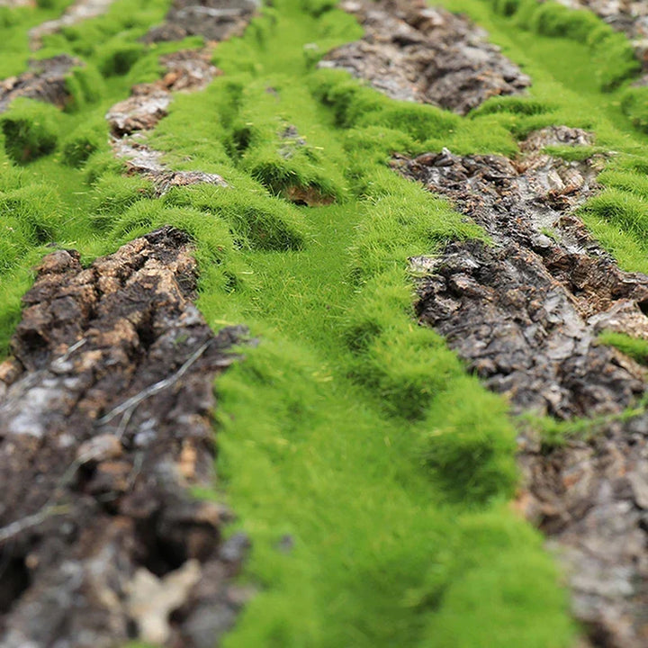 DIY Vægdekoration Grøn Plante Bark