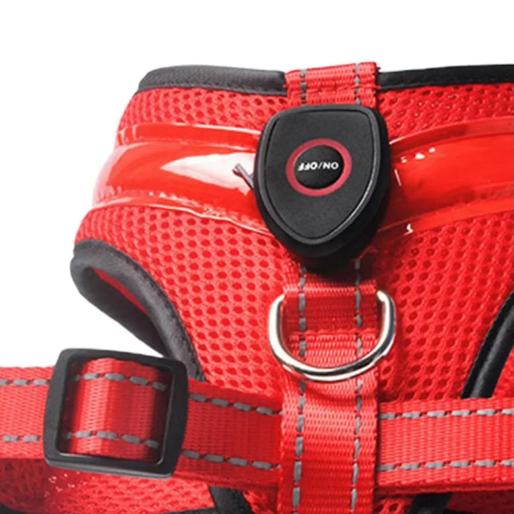 LED Hundesele USB genopladelig &amp; justerbar