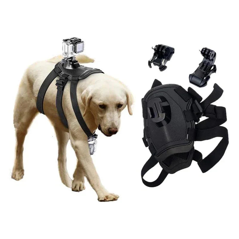 Action-Cam Hundesele med 360° Perspektiv