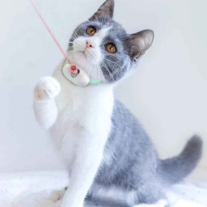 Freesthetic Laser Krave til Katte