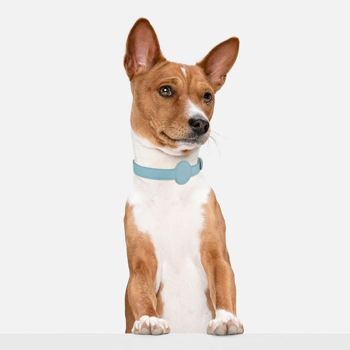 Hundehalsbånd med integreret AirTag-holder for sikkerhed og stil