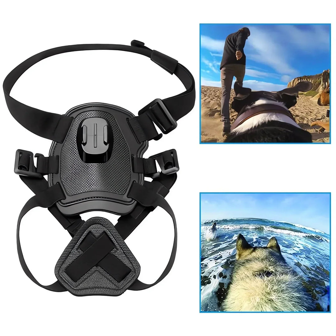Action-Cam Hundesele med 360° Perspektiv
