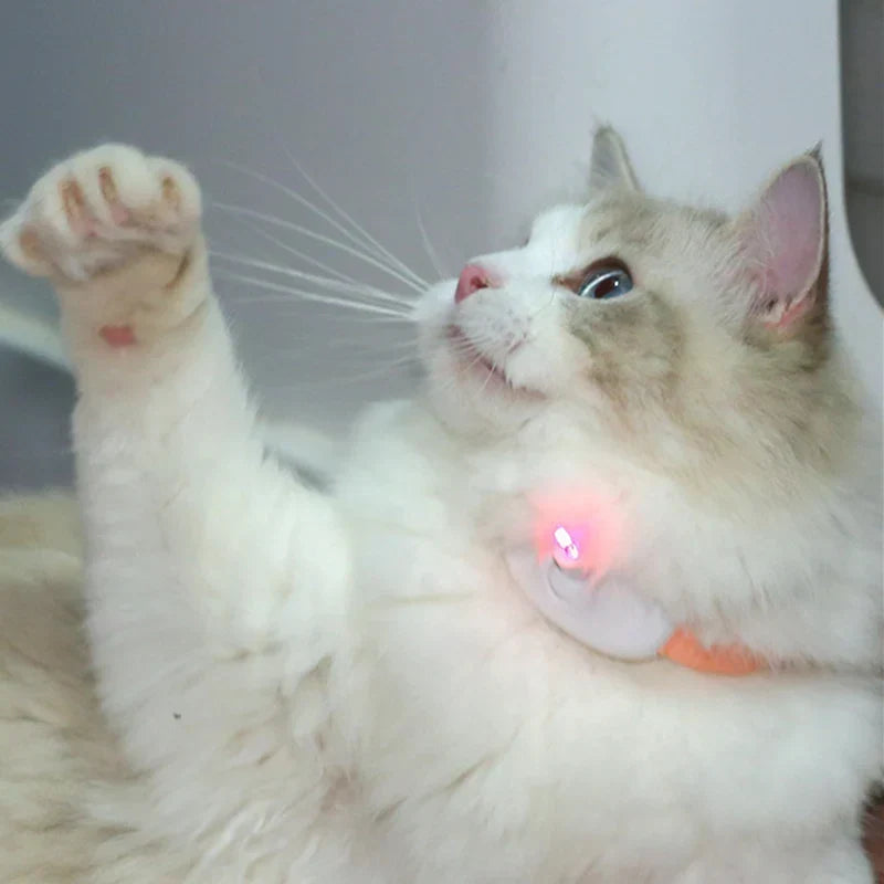 Freesthetic Laser Krave til Katte