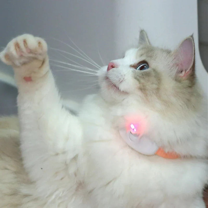 Freesthetic Laser Krave til Katte