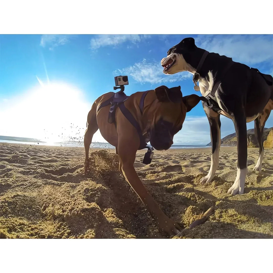Action-Cam Hundesele med 360° Perspektiv
