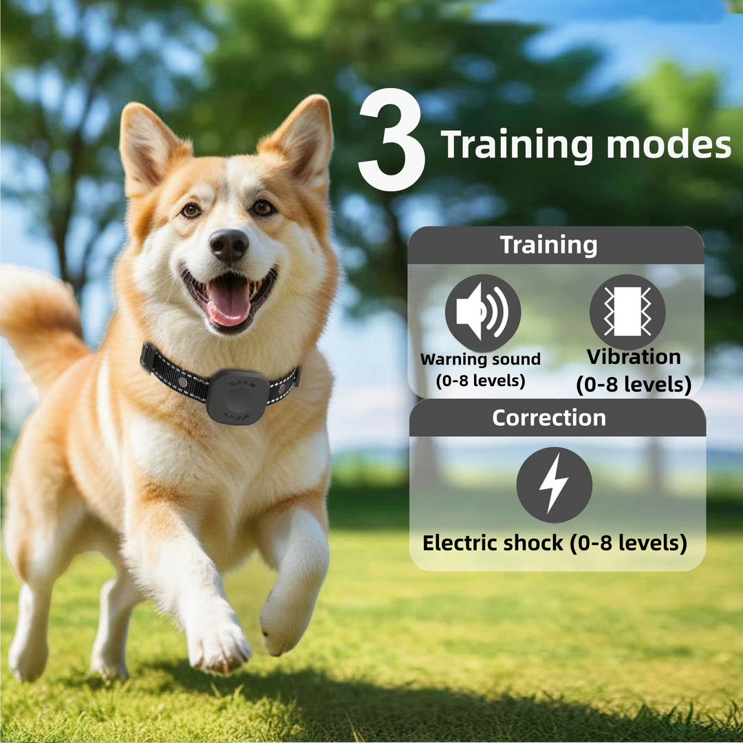 Ultimativ Sikkerhed 1.574,8 fod Trådløst Hundezone System med Genopladelig, Vandtæt Krave