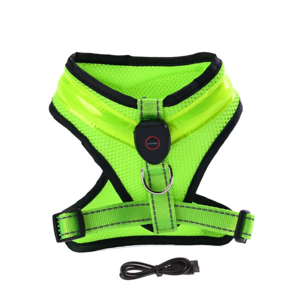 LED Hundesele USB genopladelig &amp; justerbar
