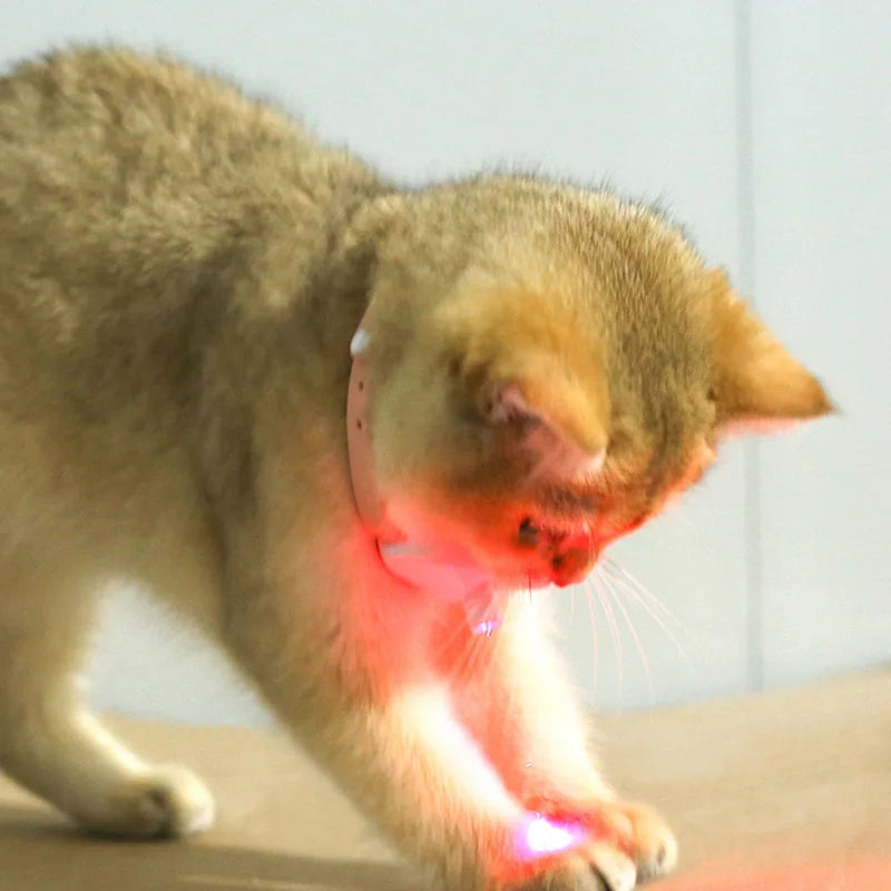 Freesthetic Laser Krave til Katte