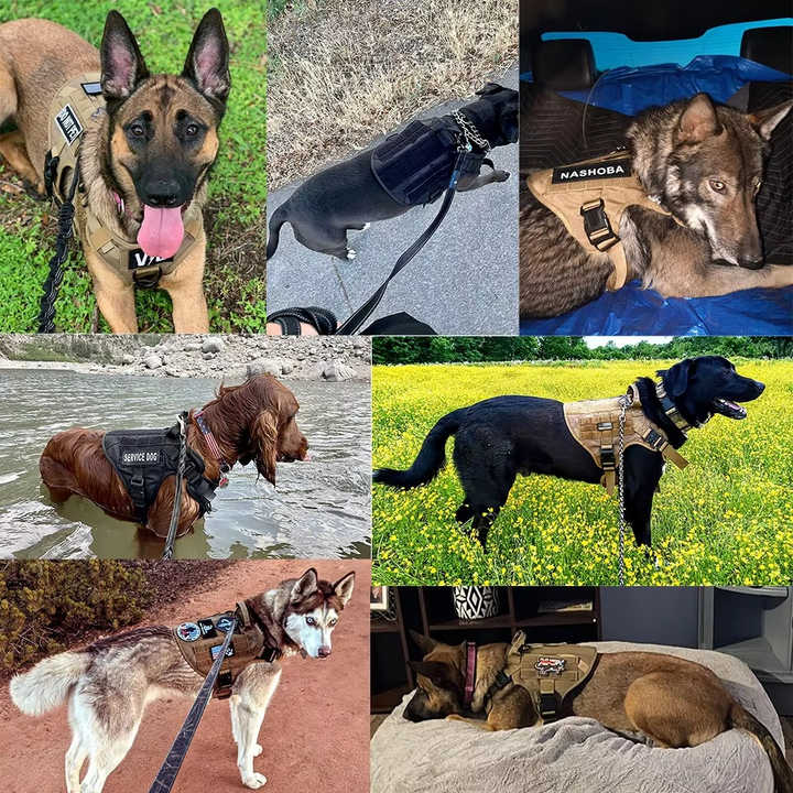 Taktisk Hundesele og Snor Sæt til Mellemstore og Store Hunde