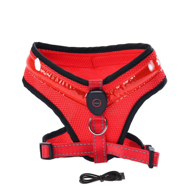 LED Hundesele USB genopladelig & justerbar