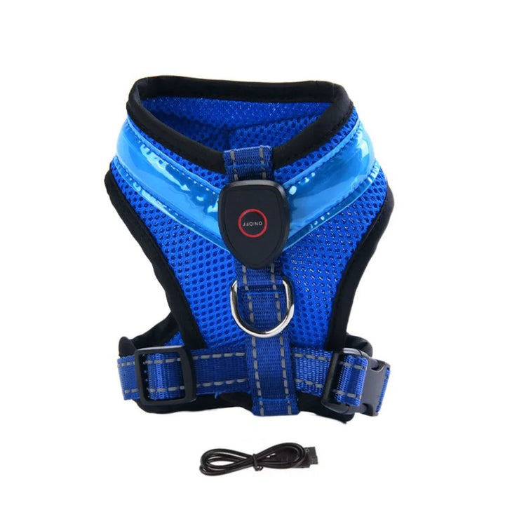 LED Hundesele USB genopladelig &amp; justerbar