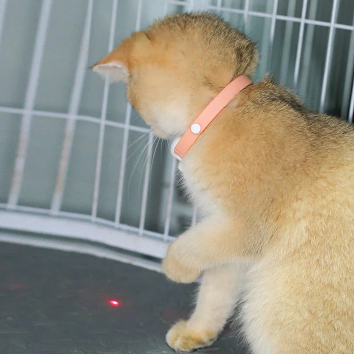 Freesthetic Laser Krave til Katte