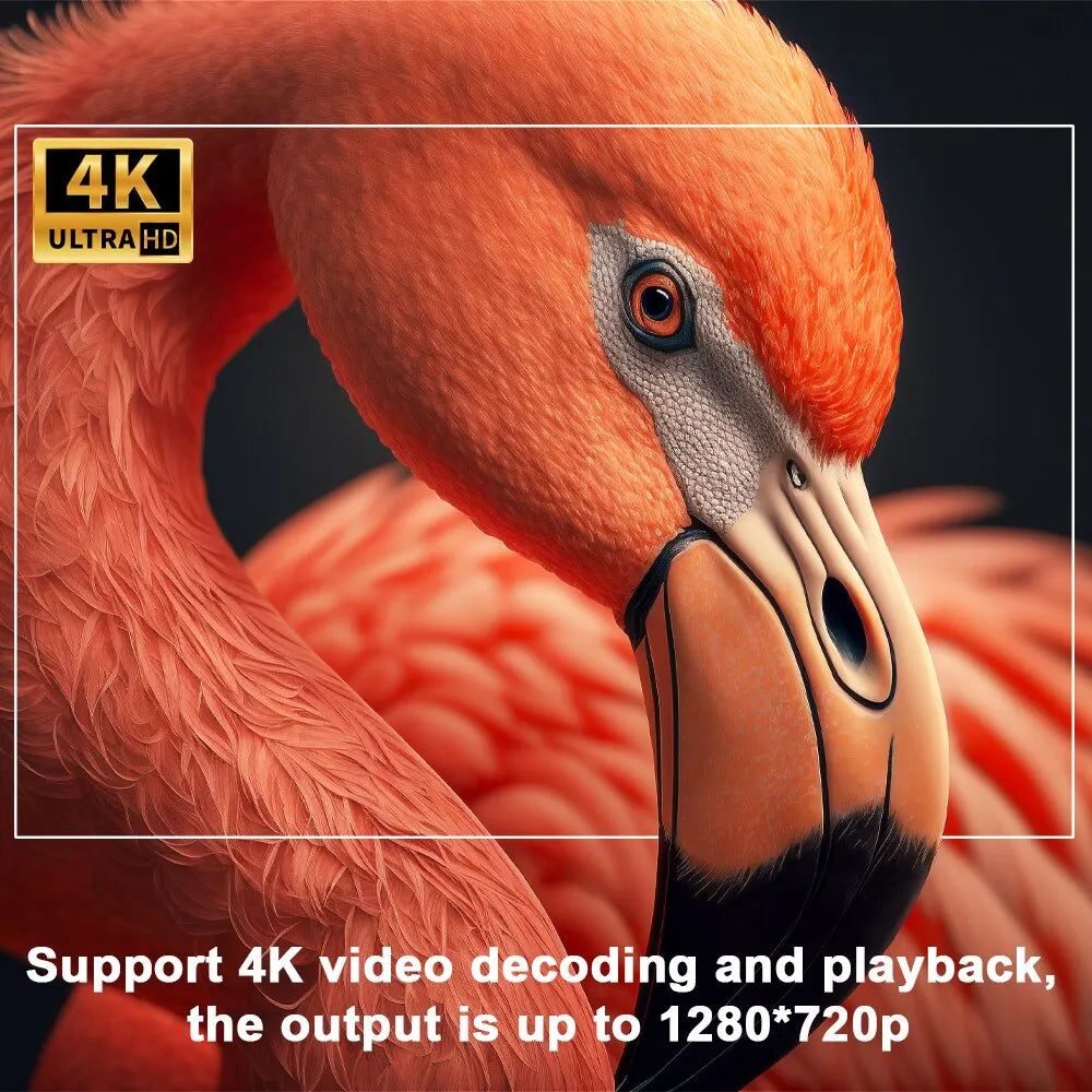 – 4K Android Projektor Pro