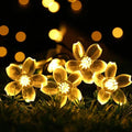 Ferskenblomst Fairy Lights