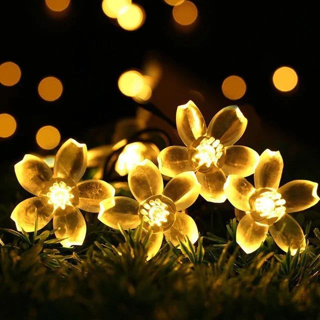 Ferskenblomst Fairy Lights