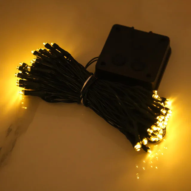 Ferskenblomst Fairy Lights