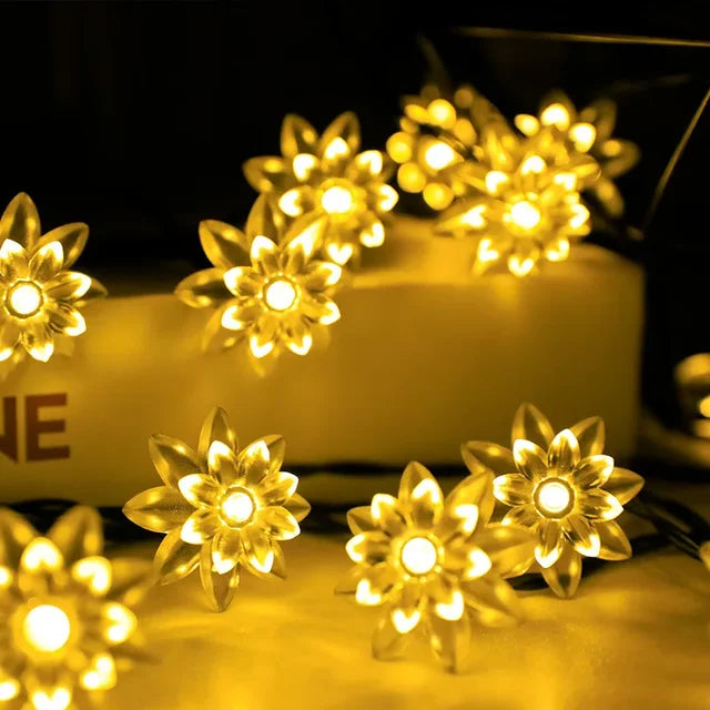 Ferskenblomst Fairy Lights