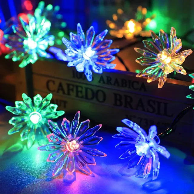 Ferskenblomst Fairy Lights