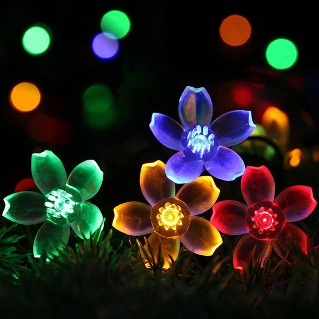 Ferskenblomst Fairy Lights