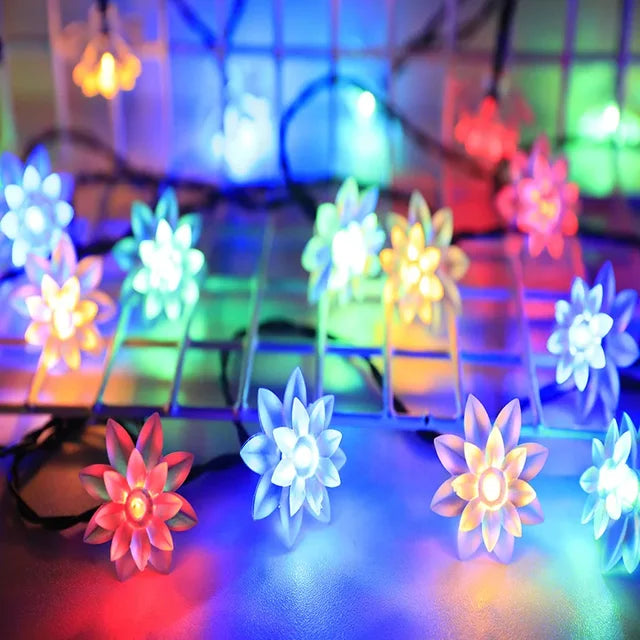Ferskenblomst Fairy Lights