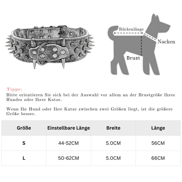 Hundehalsbånd med nitter til store hunde