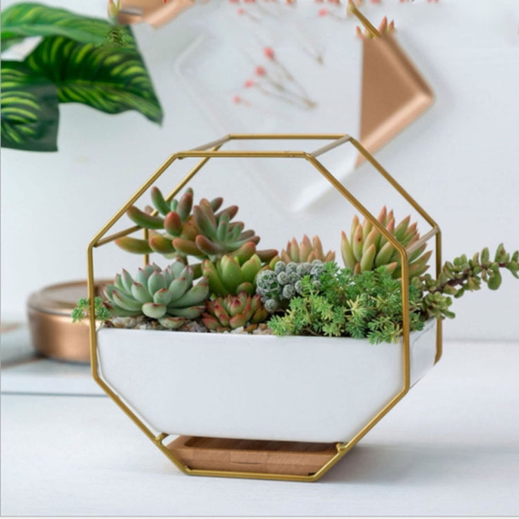Simpel octagonal geometrisk vægmonteret bordplade til sukkulenter med bambusstøtte og jernramme (Guld)