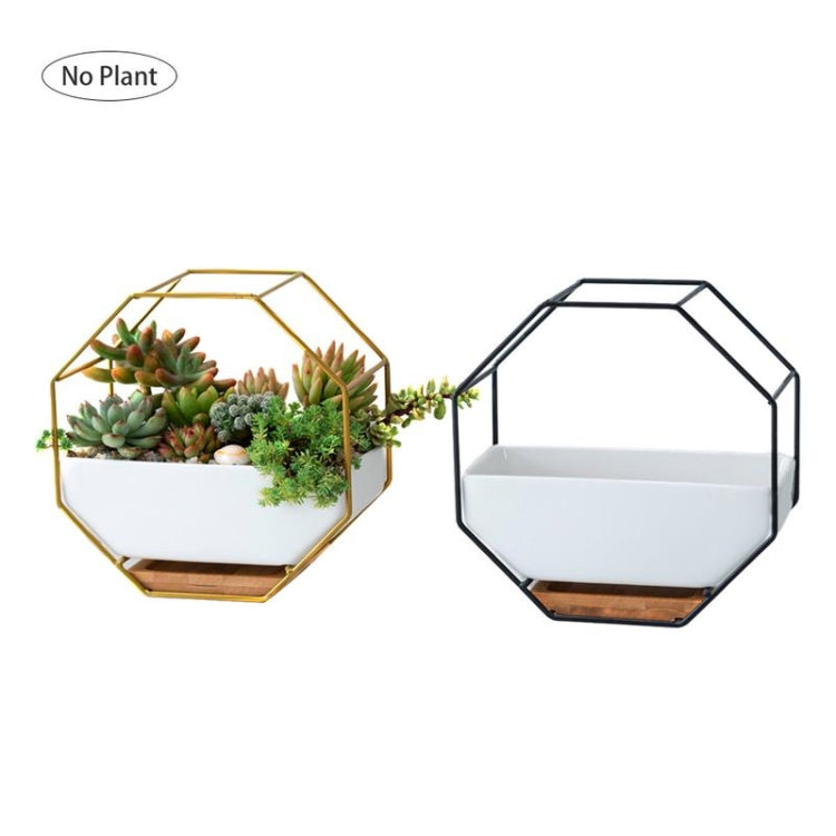 Simpel octagonal geometrisk vægmonteret bordplade til sukkulenter med bambusstøtte og jernramme (Guld)