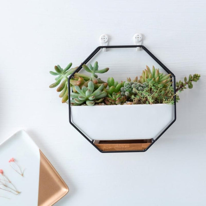 Simpel octagonal geometrisk vægmonteret bordplade til sukkulenter med bambusstøtte og jernramme (Guld)