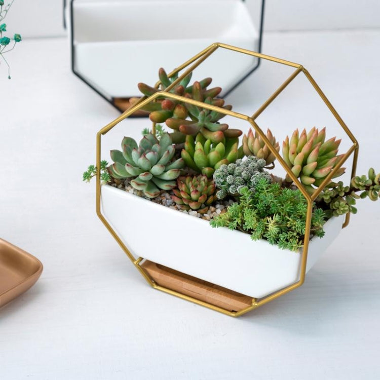 Simpel octagonal geometrisk vægmonteret bordplade til sukkulenter med bambusstøtte og jernramme (Guld)