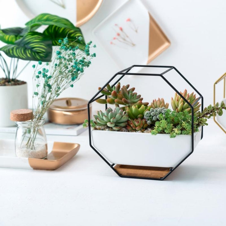 Simpel octagonal geometrisk vægmonteret bordplade til sukkulenter med bambusstøtte og jernramme (Guld)
