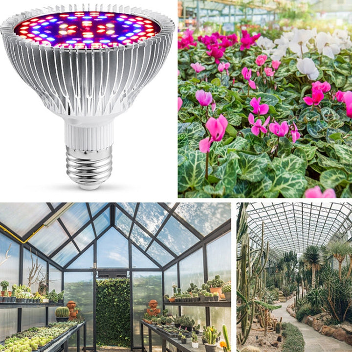 LED Plantevækstlampe Fuldspektrum E27 Plantefyldelys, Effekt: 30W 40 Lampeperler