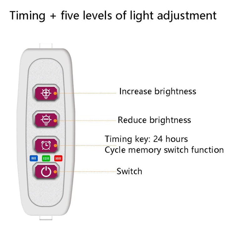 LED Plantevækstlampe Fuldspektrum Intelligent Timer Indendørs Fyldelys Ring Plante Lampe, Effekt: Et Hoved (Solskin)
