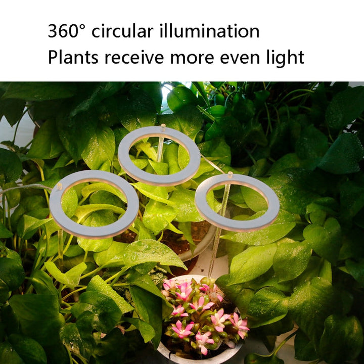 LED Plantevækstlampe Fuldspektrum Intelligent Timer Indendørs Fyldelys Ring Plante Lampe, Effekt: Et Hoved (Solskin)