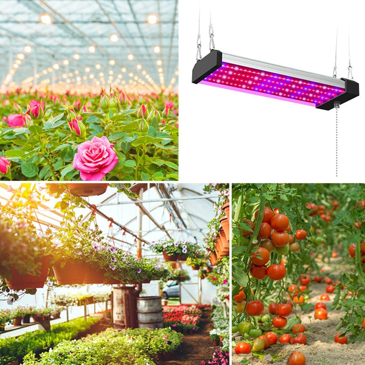 LED vækstlampe fuldspektret plante lysrør, Stil: Lille dobbelt række 100 cm (EU stik)