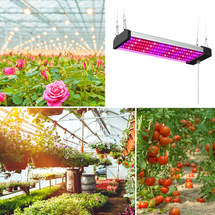 LED vækstlampe fuldspektret plante lysrør, Stil: Lille dobbelt række 100 cm (EU stik)