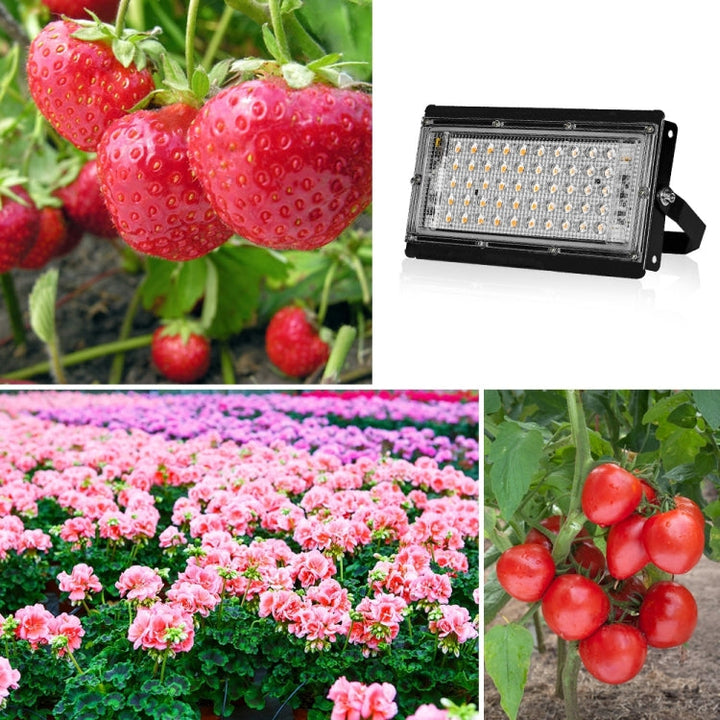 LED Plantelys Fuldspektrum Vandtæt Vækstlys EU Stik 144 Perler 200W