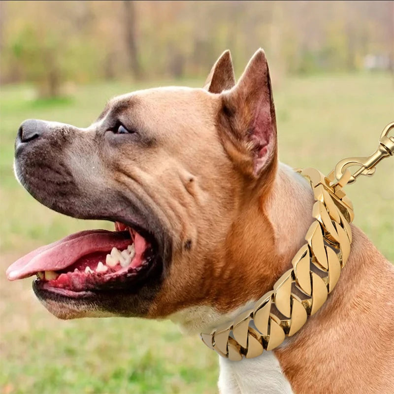 KrachtNeck Metal Hundehalsbånd – Solidt Rustfrit Stål Halsbånd til Store Hunde