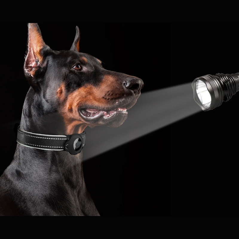 LEAZO - AirTag Hundehalsbånd