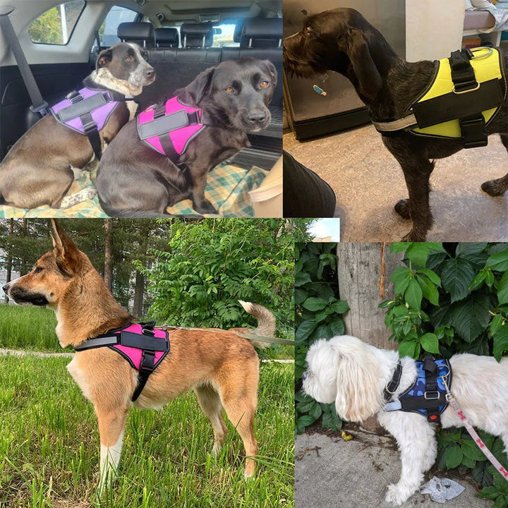 Anti Choke Hundesele